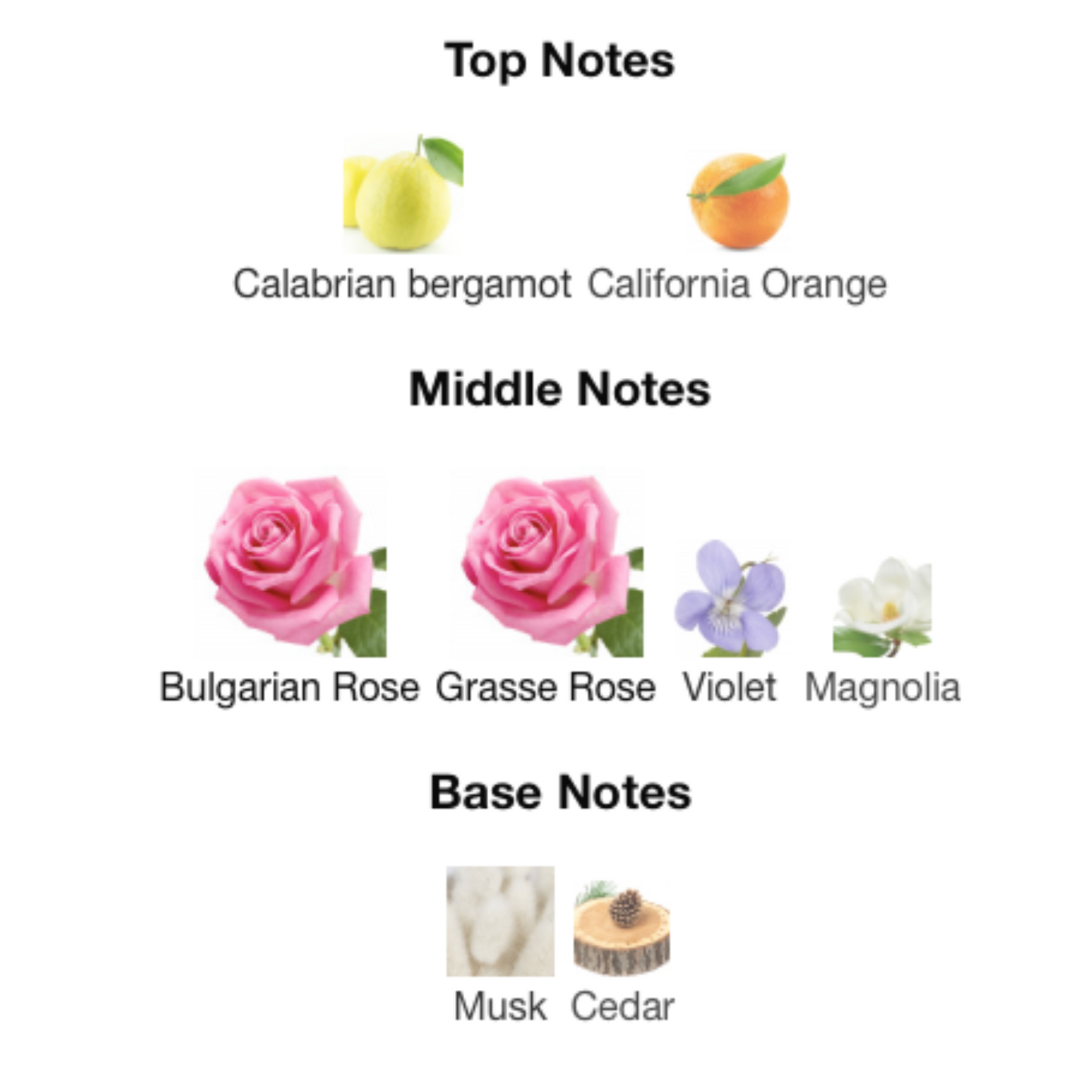 STONEY Eau De Parfum 01 Edition