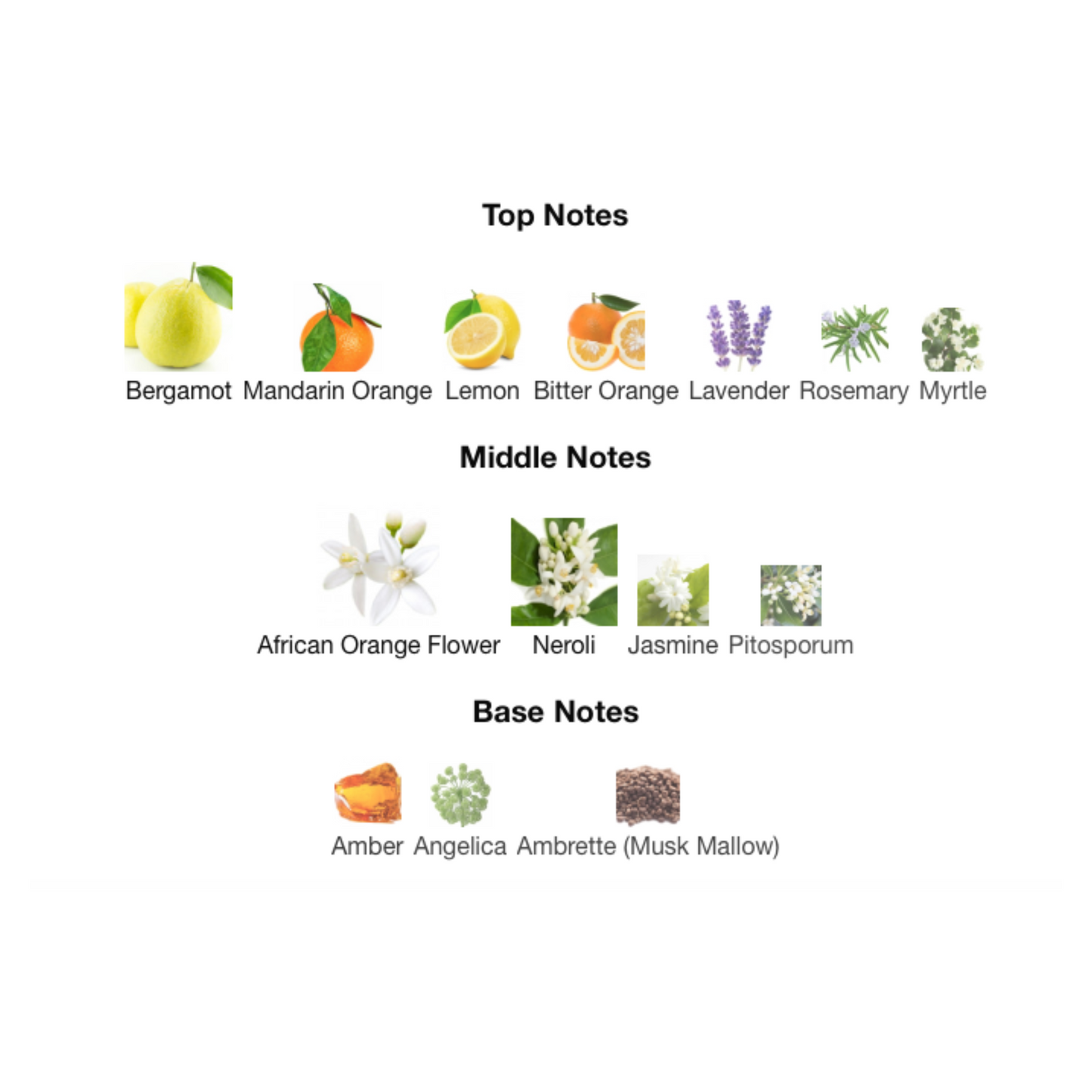 STONEY Eau De Parfum 03 Edition