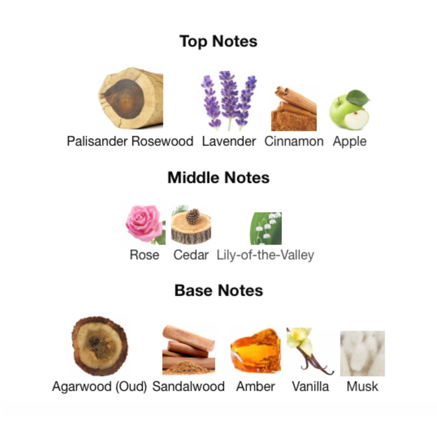 STONEY Eau De Parfum 02 Edition