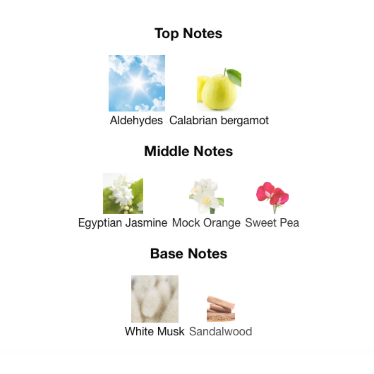 STONEY Eau De Parfum 01 Edition