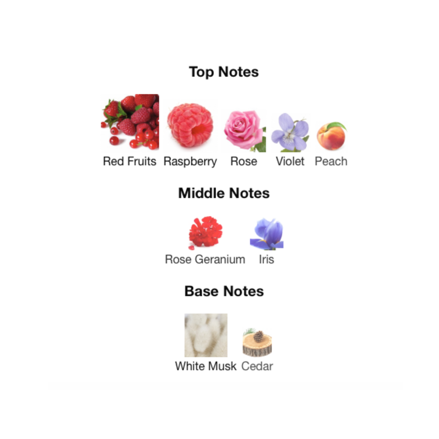 STONEY Eau De Parfum 04 Edition