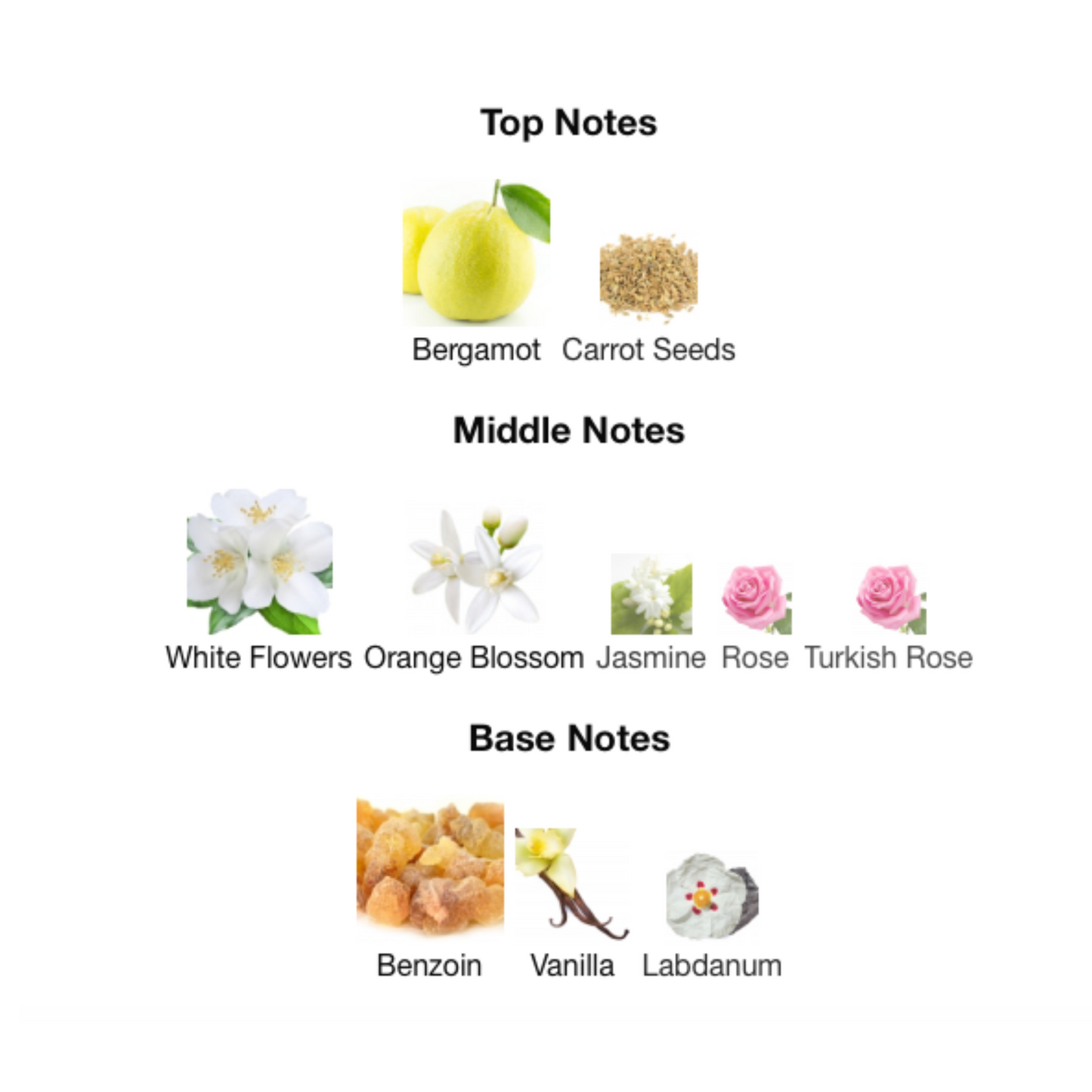 STONEY Eau De Parfum 03 Edition